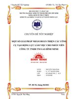 Một số giải pháp nhằm hoàn thiện các công cụ tạo động lực làm việc cho nhân viên công ty trách nhiệm hữu hạn thương mại gas bình minh