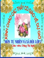 Bài giảng powerpoint lớp 3 an toan khi di xe dap TNXH GVG TRUONG