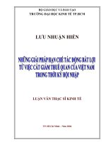 Những giải pháp hạn chế tác động bất lợi từ việc cắt giảm thuế quan của Việt Nam trong thời kỳ hội nhập