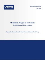 Tiểu luận lương tối thiểu của Việt Nam