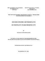 Socioeconomic determinants of fertility in HCM City