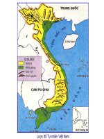 Thanh pho ho chi minh22 