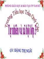 Bài giảng Powerpoint học kì 1 lớp 3:Mau va co quan tuan hoan