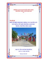 Một số biện pháp huy động các nguồn lực xây dựng tốt môi trường giáo dục trong trường mẫu giáo