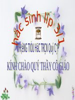 Bài giảng điện tử lớp 3 HK2 PHEP TRU CAC SO TRONG PHAM VI 10000  GVGT