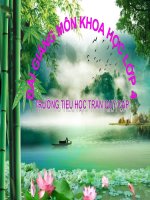 Bài 28  bảo vệ nguồn nước ngai (2) 