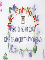tiet kiem nuoc ngai 