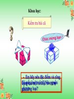 Bai 3334 on tap va kiem tra hoc ki i 