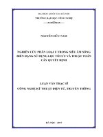 NGHIÊN cứu PHÂN LOẠI u TRONG SIÊU âm SÓNG BIẾN DẠNG sử DỤNG lọc tối ưu và THUẬT TOÁN cây QUYẾT ĐỊNH 