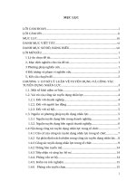 Hoàn thiện công tác tuyển dụng tại công ty cổ phần tập đoàn c e o