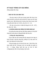 QUY TRÌNH CHĂM SÓC CÂY SẦU RIÊNG