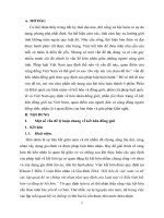 hôn nhân đồng giới luật 2014