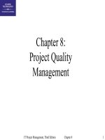 IT project management 3rd by THompson chappter 08 