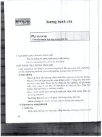 Tài liệu ôn tập cho kỳ thi tuyển viên chức ngành y tế năm 2017 tai lieu ky thuat chup x quang   file 2 