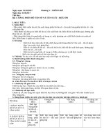 Giáo án Đại số 10 chương 5 và 6