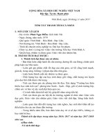 Báo cáo tóm tắt thành tích cá nhân của giáo viên tiểu học 1 