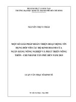 Một số giải pháp hoàn thiện hoạt động tín dụng đối với các hộ kinh doanh của ngân hàng nông nghiệp và phát triển nông thôn chi nhánh tân phú đến năm 2015 
