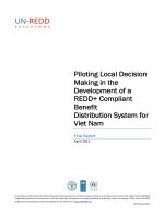Piloting Local Decision Making in the Development of a REDD+ Compliant Benefit Distribution System for Viet Nam