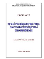 Một số giải pháp mở rộng hoạt động tín dụng tại các ngân hàng thương mại cổ phần ở thành phố hồ chí minh 