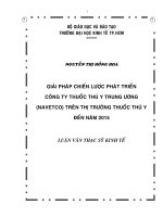 Giải pháp chiến lược phát triển công ty thuốc thú y trung ương (NAVETCO) trên thị trường thuốc thú y đến năm 2015 
