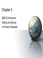 Electric commerce chapter 5 b2b e commerce selling and bying in private e markets 
