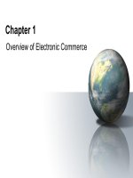 Electric commerce chapter 1 overview of electric commerce 