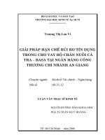 Giải pháp hạn chế rủi ro tín dụng trong cho vay hộ chăn nuôi cá tra   basa tại ngân hàng công thương chi nhánh an giang 