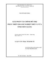 Giải pháp tài chính hỗ trợ phát triển doanh nghiệp nhỏ và vừa tỉnh tiền giang 