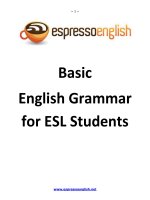 Basic english grammar for ESL students 