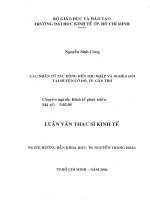 Các nhân tố tác động đến thu nhập và nghèo đói tại huyện cờ đỏ TP  cần thơ 