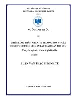 Chiến lược thâm nhập thị trường hoa kỳ của công ty cổ phần giày an lạc đến năm 2013 