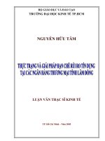 Thực trạng và giải pháp hạn chế rủi ro tín dụng tại các ngân hàng thương mại tỉnh lâm đồng 