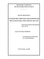 Giải pháp phát triển hoạt động kinh doanh thẻ tại ngân hàng công thương việt nam 