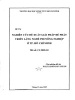 Nghiên cứu đề xuất giải pháp để phát triển làng nghề phi nông nghiệp ở TP  hồ chí minh 
