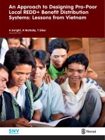 An Approach to Designing ProPoor Local REDD+ Benefit Distribution Systems: Lessons from Vietnam