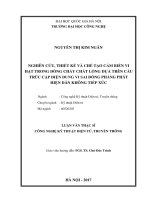 NGHIÊN cứu, THIẾT kế và CHẾ tạo cảm BIẾN VI hạt TRONG DÒNG CHẢY CHẤT LỎNG dựa TRÊN cấu TRÚC cặp điện DUNG VI SAI ĐỒNG PHẲNG PHÁT HIỆN dẫn KHÔNG TIẾP xúc