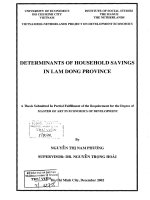 Determinants of household savings in lam dong province 