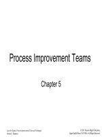 Lean six sigma process improvement tools and techniques by donna summers chapter 05 