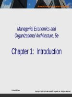 Managerial economics and organizational architecture 5e ch001 