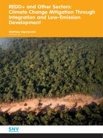 REDD+ and Other Sectors: Climate Change Mitigation Through Integration and LowEmission Development