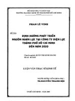 Định hướng phát triển nguồn nhân lực tại công ty điện lực thành phố hồ chí minh đến năm 2020 