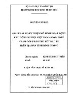 Giải pháp hoàn thiện mô hình hoạt động khu công nghiệp việt nam   singapore nhằm góp phần thu hút đầu tư trên địa bàn tỉnh bình dương 