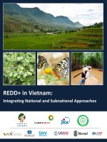 REDD+ in Vietnam: Integrating National and Subnational Approaches