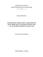 Giải pháp phát triển công cụ phái sinh tín dụng trong quản lý rủi ro tín dụng cho các ngân hàng thương mại việt nam 