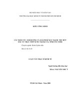 Các nhân tố ảnh hưởng và giải pháp đẩy mạnh thu hút đầu tư trực tiếp nước ngoài của tỉnh tây ninh 