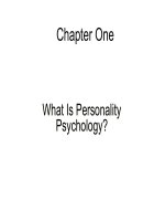Personality psychology chapter 1 what is personality psychology 