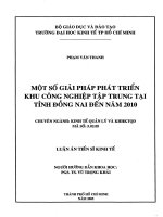Một số giải pháp phát triển khu công nghiệp tập trung tại tỉnh đồng nai đến năm 2010 