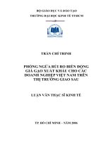 Phòng ngừa rủi ro biến động giá gạo xuất khẩu cho các doanh nghiệp việt nam trên thị trường giao sau 