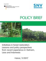 Initiatives in forest restoration: Lessons and policy perspectives from recent experiences in Vietnam, Laos and Indonesia