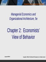 Managerial economics and organizational architecture 5e ch002 